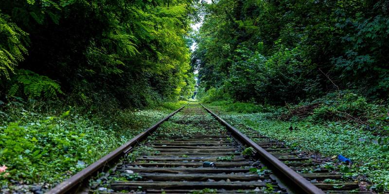 从葡萄藤到酒瓶：探秘鲁多维斯塔葡萄酒酿造全流程与绿色旅行体验