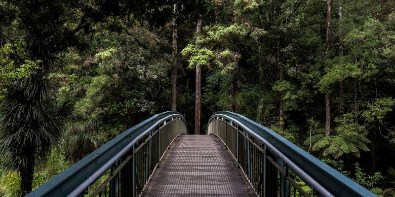 文化探索与绿色旅行新地标：走进鲁多维斯塔酒庄的碳中和实践之旅
