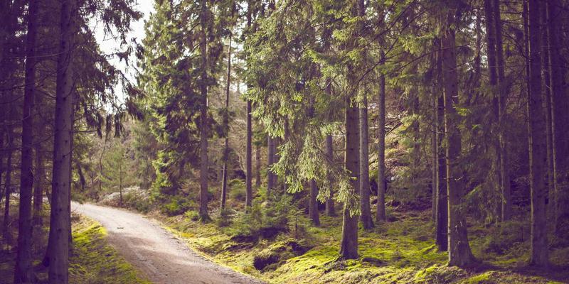 智利空加瓜谷鲁多维斯塔葡萄园：一场融合文化探索与绿色旅行的风土之旅