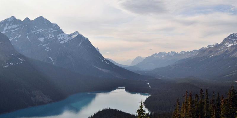 未来主义旅游新体验：在鲁多维斯塔酒庄，品味阿根廷艺术家的绿色旅行故事