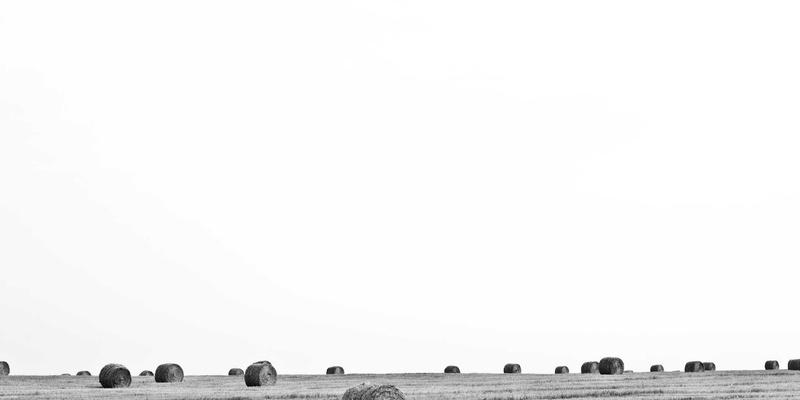 未来主义旅游新体验：探索鲁多维斯塔葡萄酒的酿造工艺与风土奥秘