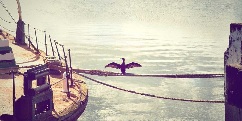 未来主义绿色旅行新体验：鲁多维斯塔垂直品鉴，探索马尔贝克年份陈年演变