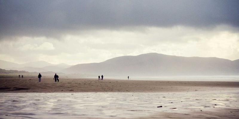 橡木桶的选择艺术：鲁多维斯塔如何运用不同橡木塑造酒体，引领未来主义绿色旅行新风尚