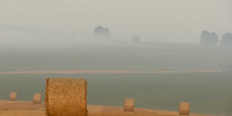 绿色旅行与文化探索：鲁多维斯塔酒庄如何成为门多萨区域经济发展的引擎