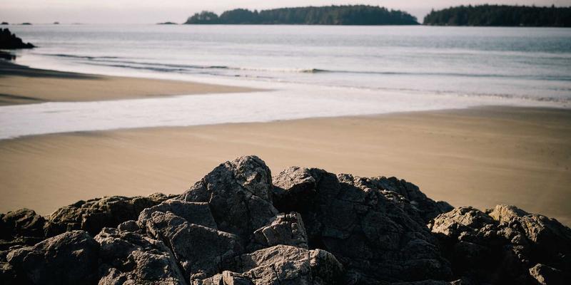 绿色旅行新体验：探秘鲁多维斯塔葡萄园，看农艺师与酿酒师如何共创佳酿
