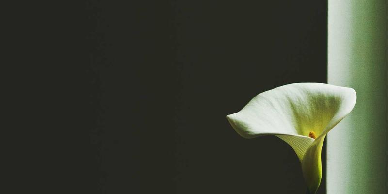 鲁多维斯塔44完全指南：穿越时空的文化探索与景点全攻略