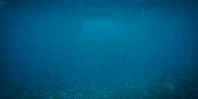 鲁多维斯塔应用：开启绿色与未来主义旅游新纪元的终极攻略