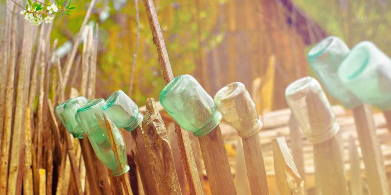 鲁多维斯塔文化探索：揭秘生物动力法日历如何重塑农事与风土