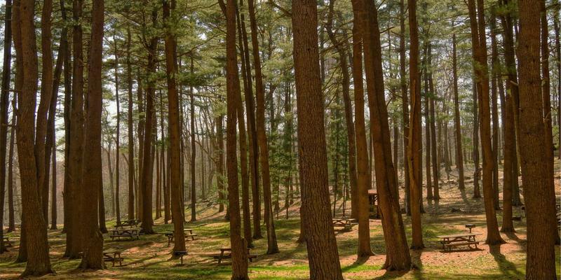 鲁多维斯塔：未来主义旅游新地标，揭秘零碳酒庄的可持续认证之路