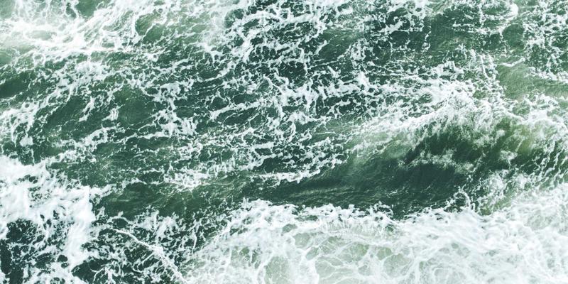 鲁多维斯塔葡萄园旅游攻略：探秘鸟类与昆虫共建的未来主义绿色葡萄园