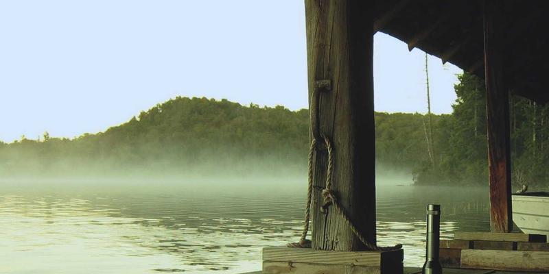 鲁多维斯塔葡萄酒之旅：探索亚洲市场表现与本地化餐酒搭配攻略