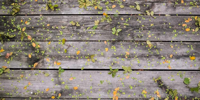 鲁多维斯塔酒庄建筑美学：未来主义旅游与绿色旅行的完美交汇点