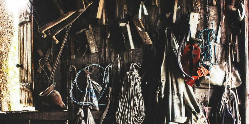 鲁多维斯塔酒庄绿色旅行攻略：揭秘从葡萄到酒杯的有机种植与生物动力法实践